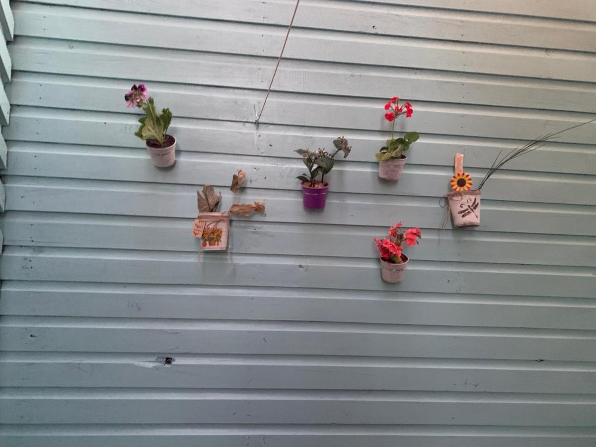 Cabanas La Chasconita Constitución エクステリア 写真